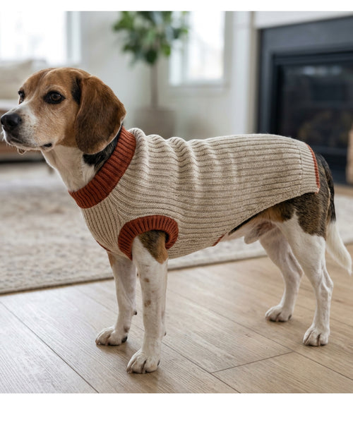 Jnvbf Bramble Rib-Knit Dog Pullover Sweater Size M Oatmeal Rust - Lifestyle view